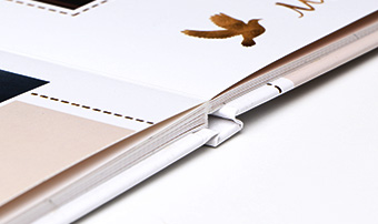 HD Fotográfico 180°