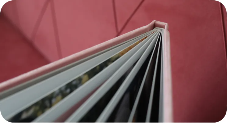 Imagem representativa